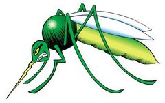 Immagine profilo di los-mosquitos